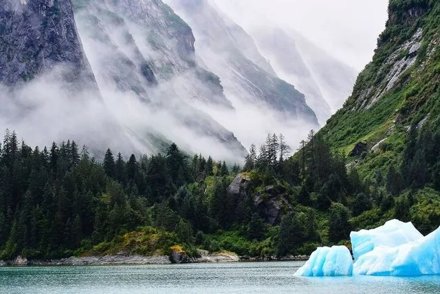 Juneau Glacier Explorer in Tracy Arm - Image 2