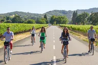 Sonoma Valley Pedal Assist Bike Tour with Lunch thumbnail 2