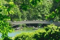 New York City Central Park Walking Tour thumbnail 5