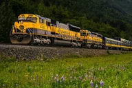 Anchorage to Seward Alaska Railroad Journey thumbnail 5
