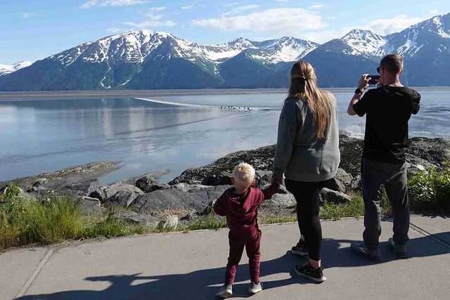 Anchorage Turnagain Arm Glacier Tour - Image 2