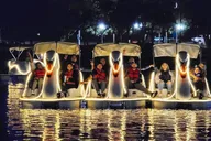 Long Beach Swan Boat Night Ride thumbnail 1