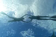 Waikiki Snorkeling Tour with Sea Turtles thumbnail 5