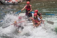 Durango Rafting Trip Lower Animas River 2.5 Hr thumbnail 3