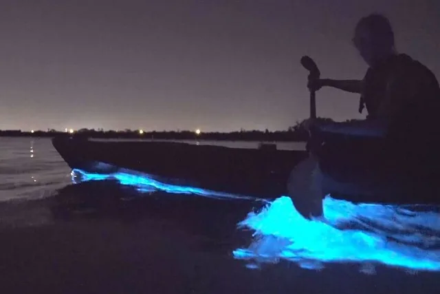 Orlando Bioluminescence Kayak Tour - Image 1