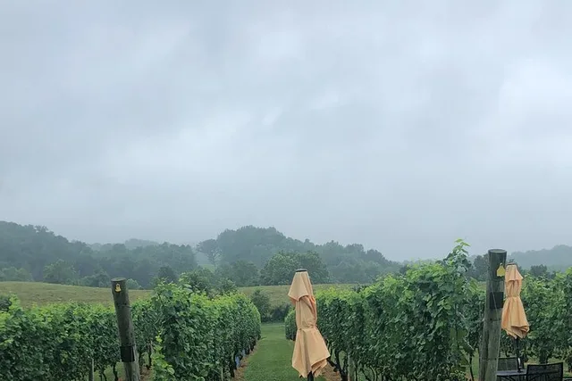 Virginia Winery Excursion by Luxury Vehicle - Image 3