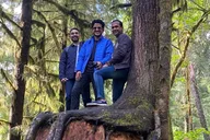Seattle Olympic National Park Rainforest Tour thumbnail 4