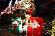 New York Dyker Heights Christmas Lights Bus Tour thumbnail 6