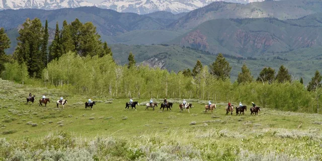 Jackson Hole Horseback Ride with Lunch 2.5 hr - Image 2