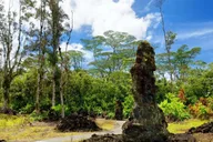 Hilo Volcano Safari and Lava Caves Tour thumbnail 1