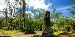 Hilo Volcano Safari and Lava Caves Tour