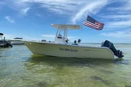Madeira Beach Shell Key Dolphin Boat Tour Half Day thumbnail 1