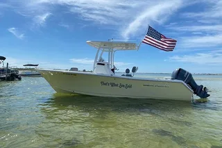 Madeira Beach Shell Key Dolphin Boat Tour Half Day