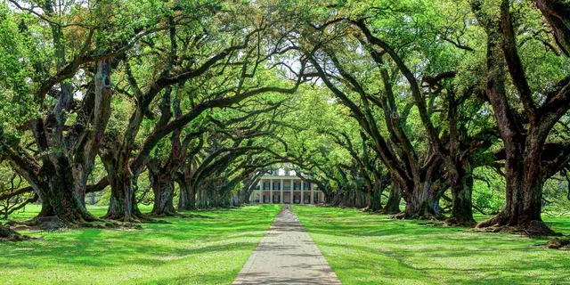 New Orleans Oak Alley Plantation Tour 5.5 hr - Image 3