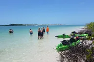 Tampa Bay Kayak Tour of Shell Key Preserve thumbnail 2