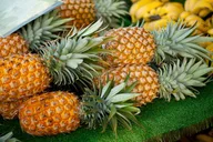 O'ahu Private Tour with Local Expert 9 hr thumbnail 5