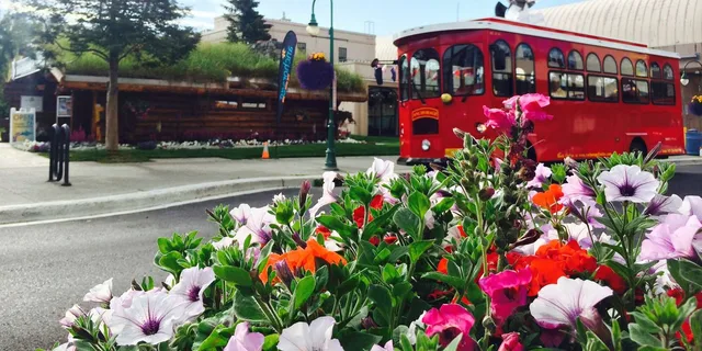 Anchorage Trolley Tour 1 hr - Image 6