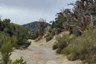 Las Vegas Red Rock Canyon Jeep Tour thumbnail 2