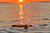 Key Largo Sunset Cruise thumbnail 3