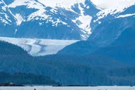 Juneau Paddle with Whales Kayak Adventure thumbnail 2