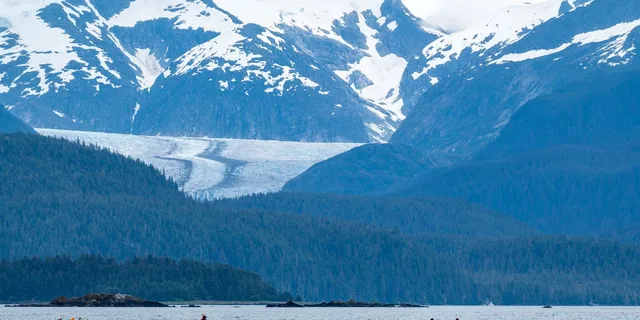 Juneau Paddle with Whales Kayak Adventure - Image 2