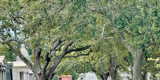 New Orleans Metairie Cemetery Tour - Image 3