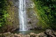 Waikiki Electric Bike Tour to Manoa Falls thumbnail 1