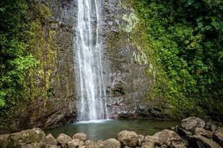 Waikiki Electric Bike Tour to Manoa Falls
