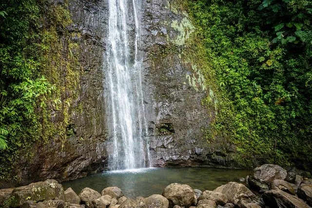 Waikiki Electric Bike Tour to Manoa Falls - Image 1