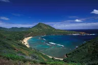 Oahu Private Island Tour: Waikiki, North Shore, Dole Plantation thumbnail 4