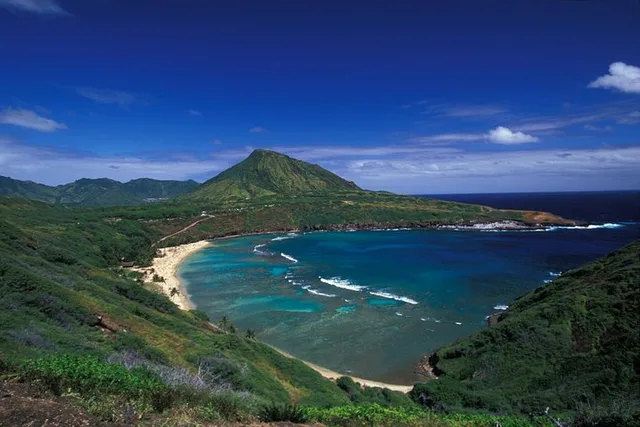 Oahu Private Island Tour: Waikiki, North Shore, Dole Plantation - Image 4