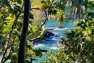 Big Island Custom Van Tour thumbnail 5
