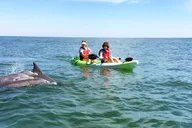 Virginia Beach Dolphin Kayak Eco-Tour thumbnail 2