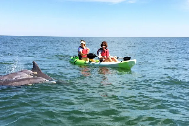 Virginia Beach Dolphin Kayak Eco-Tour - Image 2