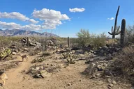 Dove Mountain Hiking Tour thumbnail 6