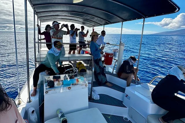 Lahaina Whale Watching Tour 2 hr - Image 5