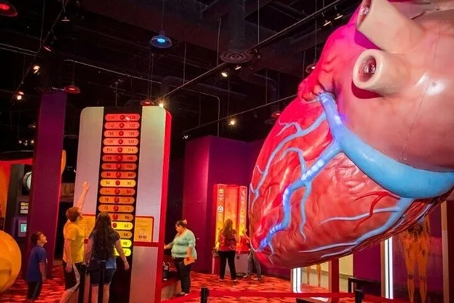 Houston Museum Pass - Image 5