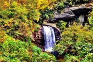 Asheville Rainforest and Waterfall Tour thumbnail 2