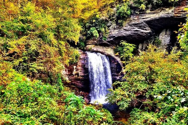 Asheville Rainforest and Waterfall Tour - Image 2