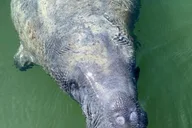Miami Everglades National Park Kayaking and Hiking Tour thumbnail 2