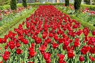 Williamsburg Private Tour of Colonial History thumbnail 6