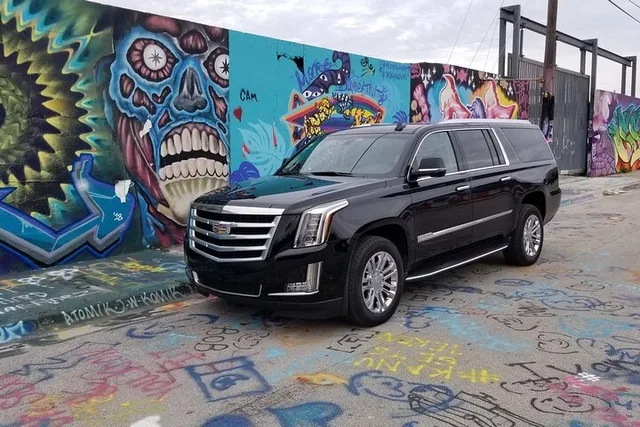 Miami Wynwood Art Private Tour - Image 4