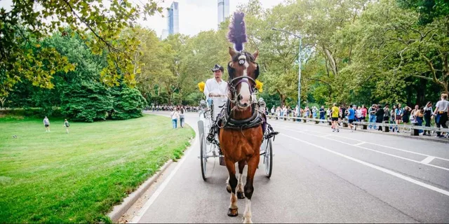 New York City Horse Carriage Ride with Christmas Lights - Image 6