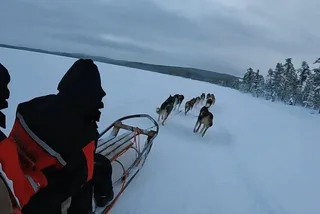 Fairbanks Dog Sled and ATV Adventure
