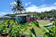 Waikiki to Haleiwa Shuttle Tour thumbnail 6