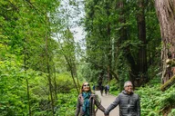 San Francisco Muir Woods and Sausalito Bay Cruise thumbnail 3