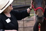 Colorado Springs Mindfulness with Rescue Mustangs thumbnail 1