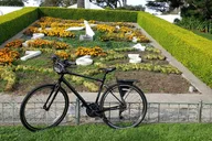 San Francisco Golden Gate Park Bike Rental thumbnail 4