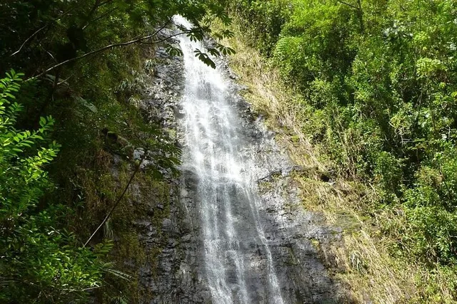 Honolulu Hiking Adventure Tour - Image 3