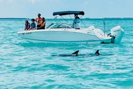 Key West Dolphin & Snorkeling Tour - Small Group thumbnail 2